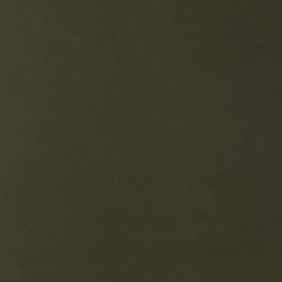 Full-grain cowhide leather - khaki green - Soul